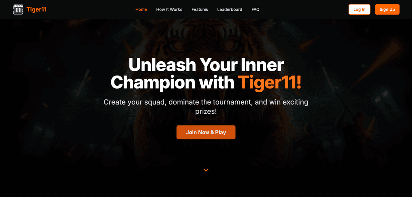 Screenshot of Tiger11 project